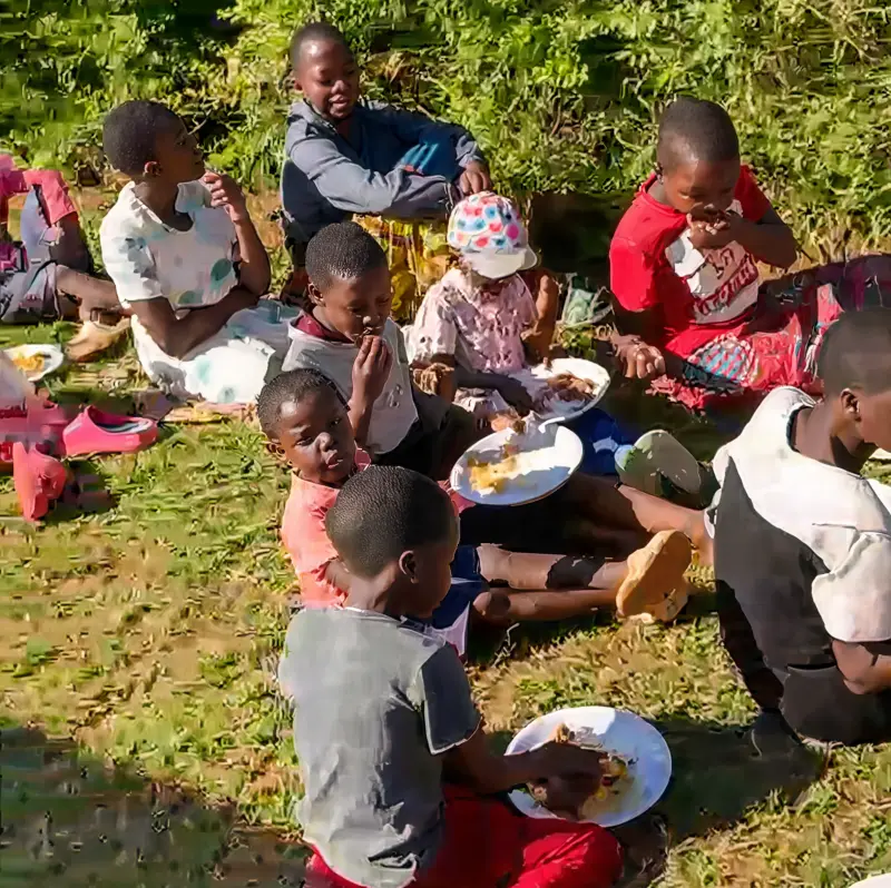 Programme Video 1